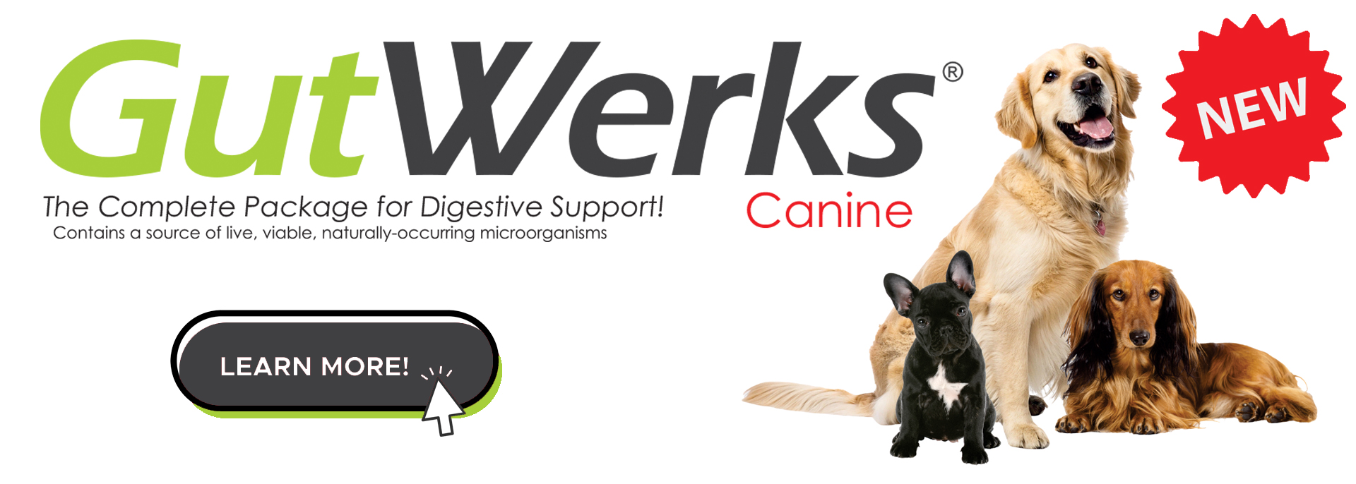 Homepage Slider - Pupsup